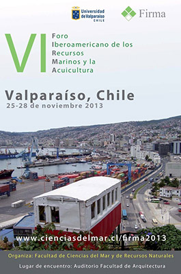 VI Firma Chile