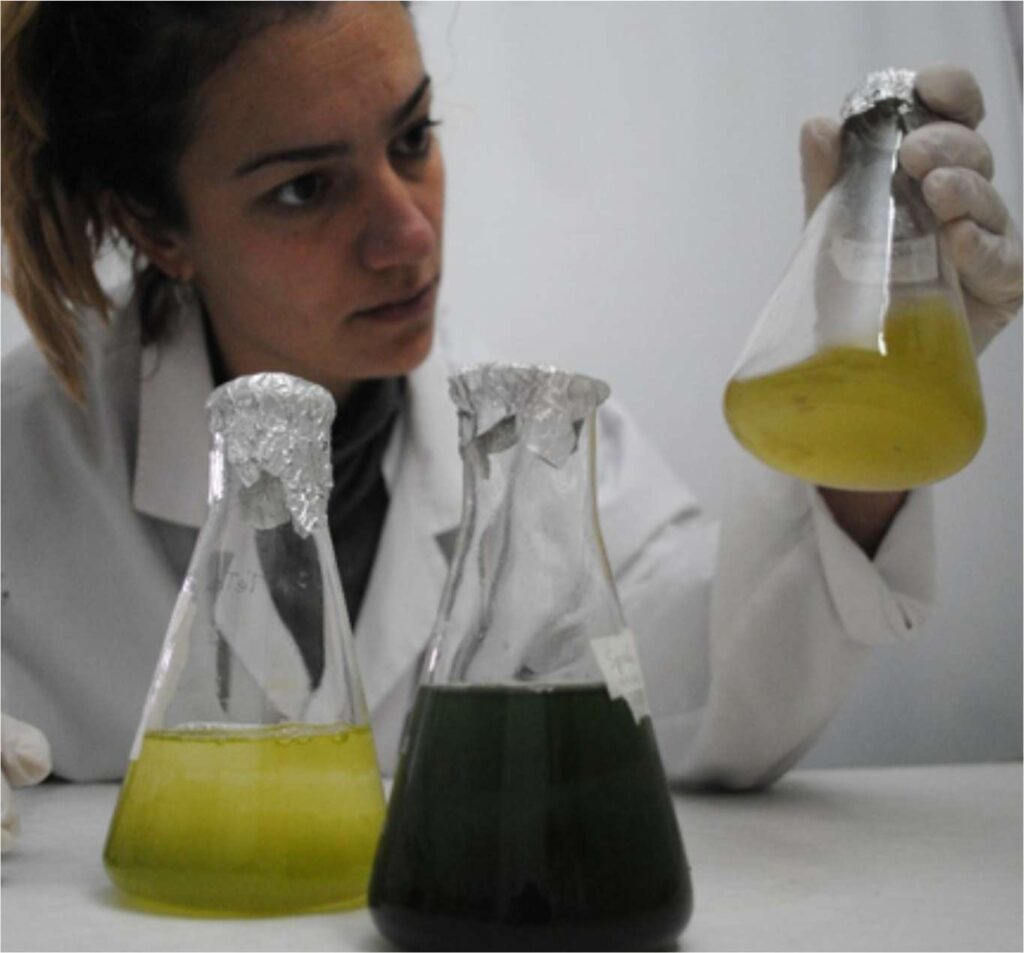 Biotecnología de microalgas