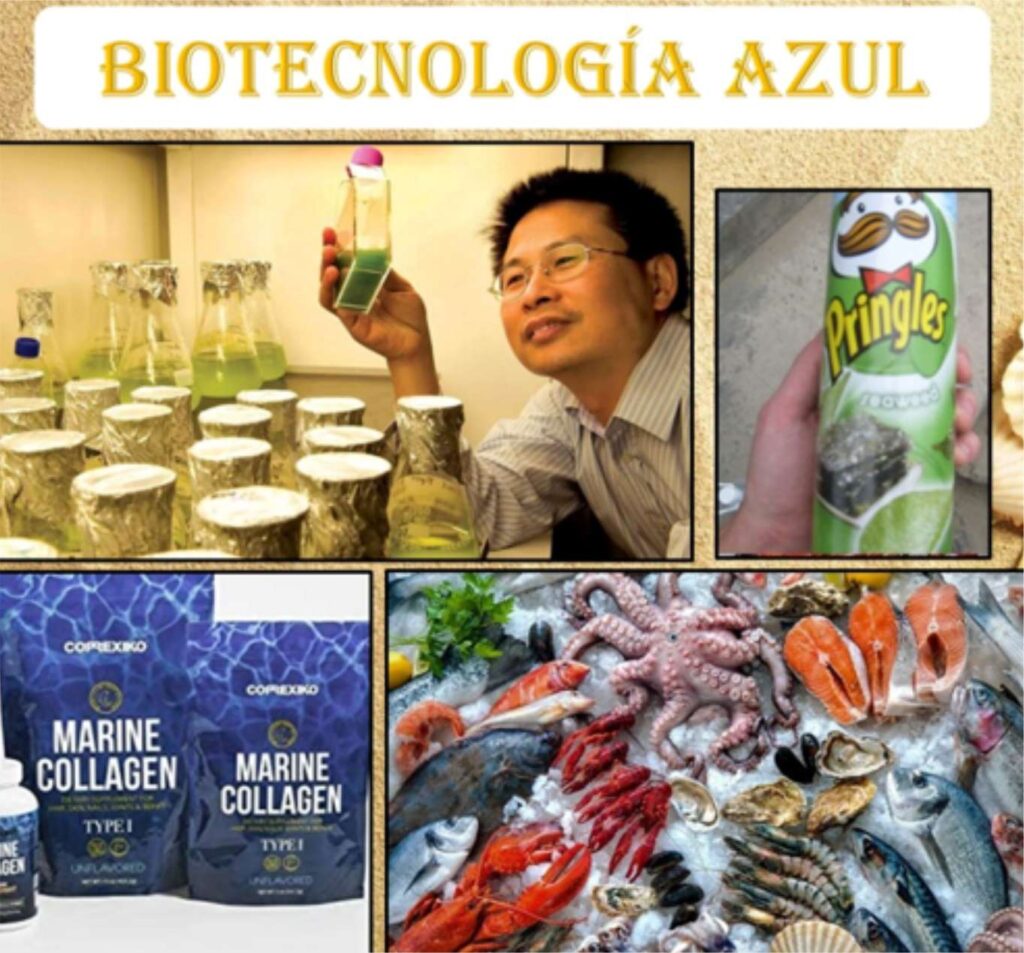 Biotecnología Azul